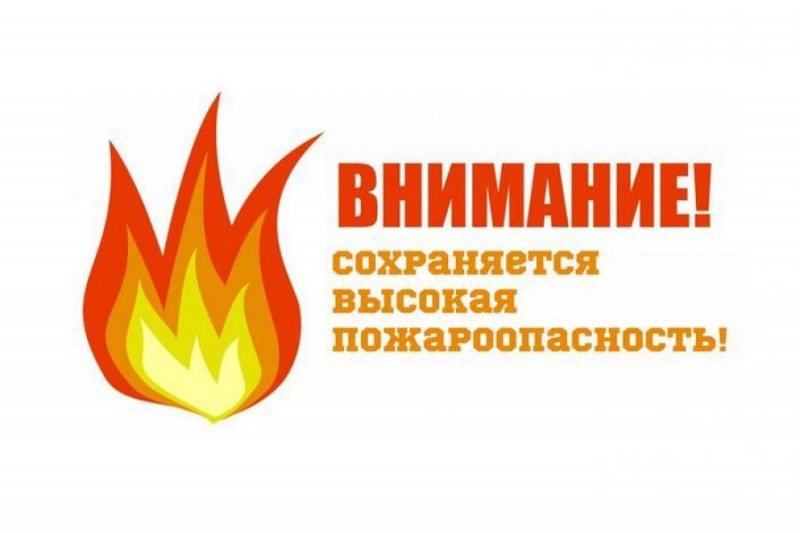 Об установлении особого противопожарного режима в лесах!.