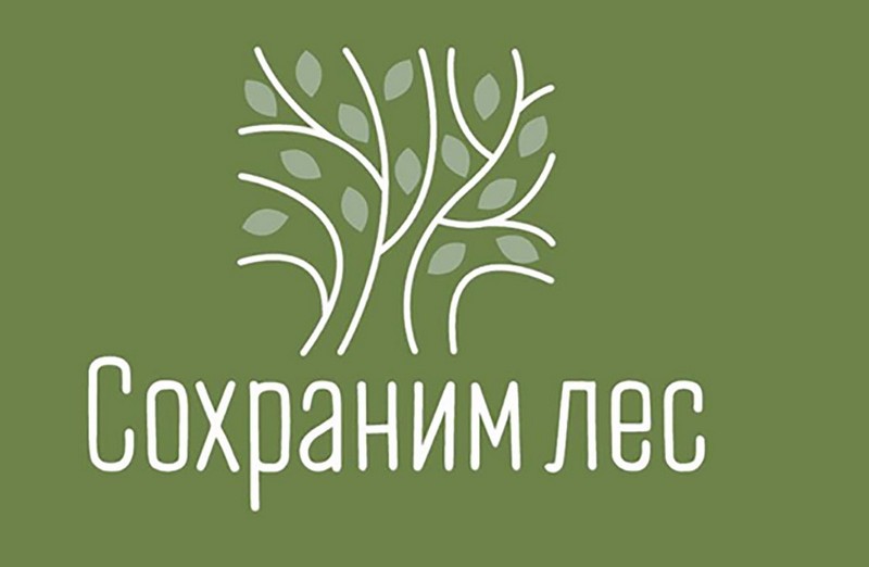 Во всех регионах России в шестой раз пройдет традиционная акция «Сохраним лес» в рамках национального проекта «Экология».