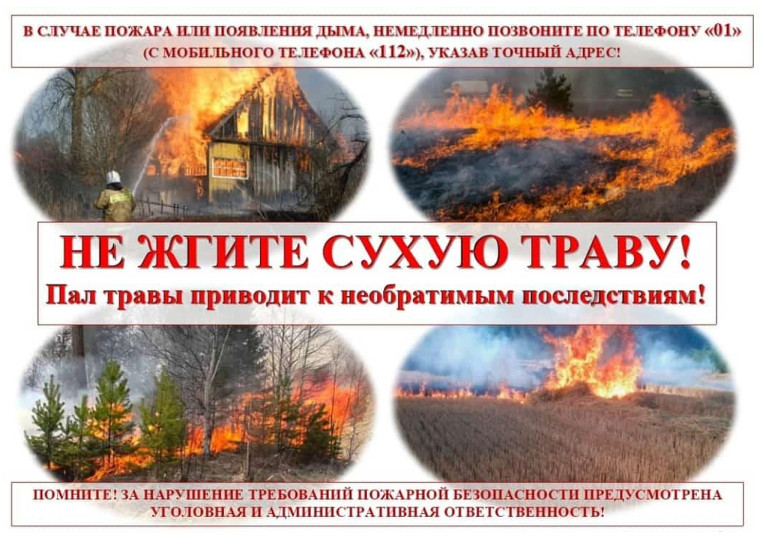 Не жгите сухую траву. Пал травы приводит к необратимым последствиям!. Не жгите сухую траву. Пал травы приводит к необратимым последствиям!.